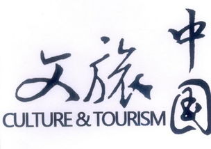 中國文化傳媒集團