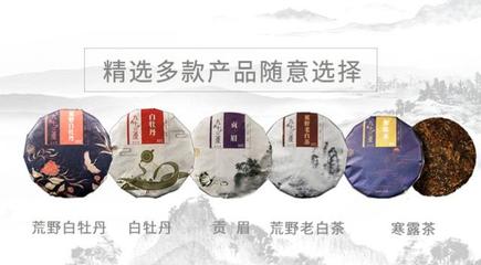 發(fā)揚白茶文化 九十三度老白茶引領行業(yè)發(fā)展